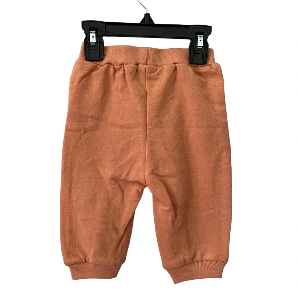 Peek Baby 2-Piece Dinos Print Cotton Top & Pants NWT